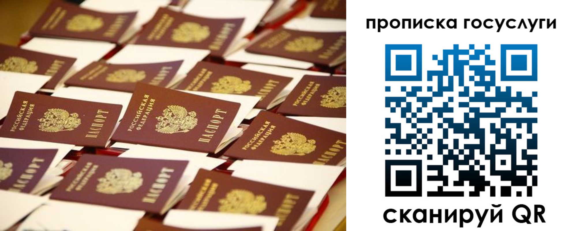 прописка гарантия в Златоусте